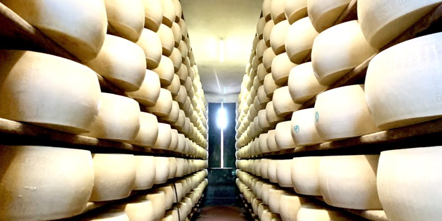 Cheese rounds at the parmigiano reggiano farm in Parma, Italy