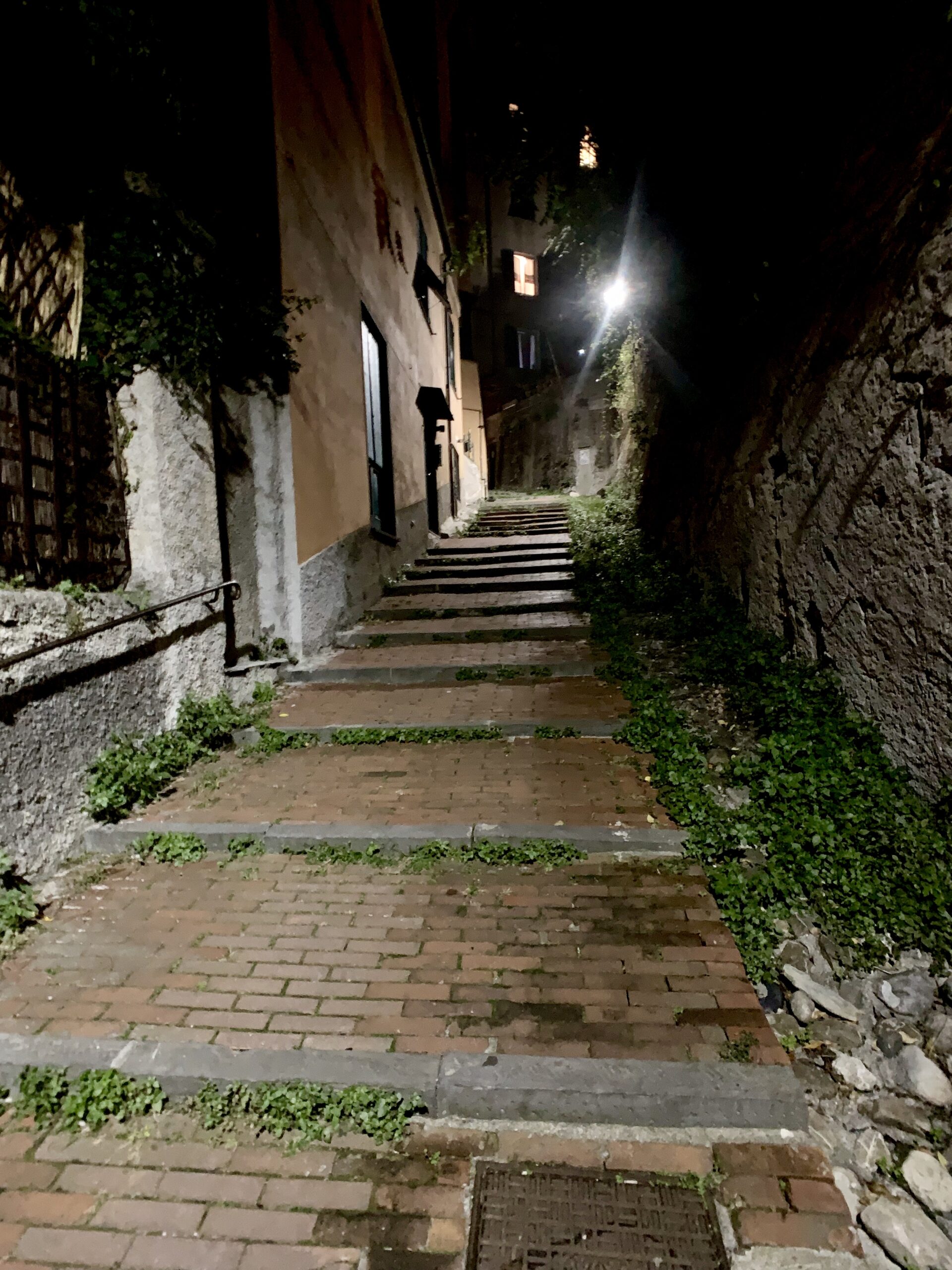 The long stairs up to the top of a hill where we thought the Greek restaurant was